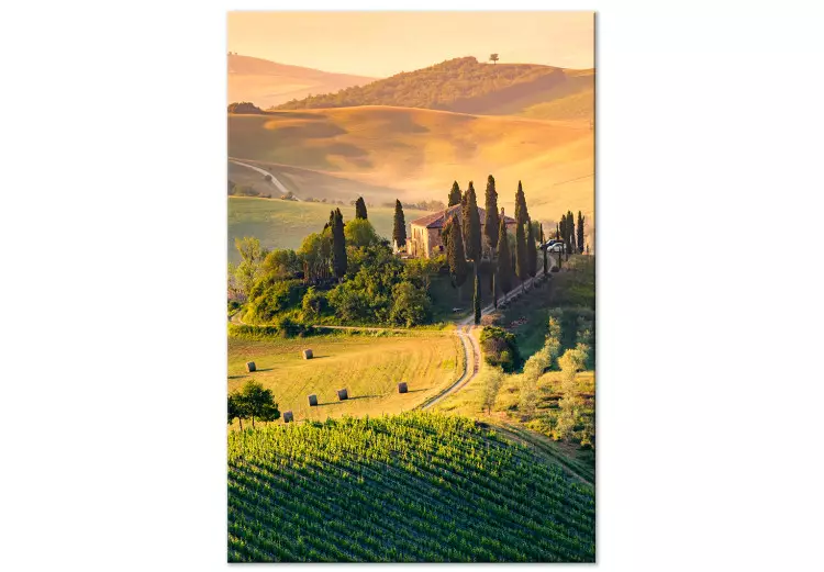 Canvas Sunny Fields of Tuscany - Landscape Photography at Sunset