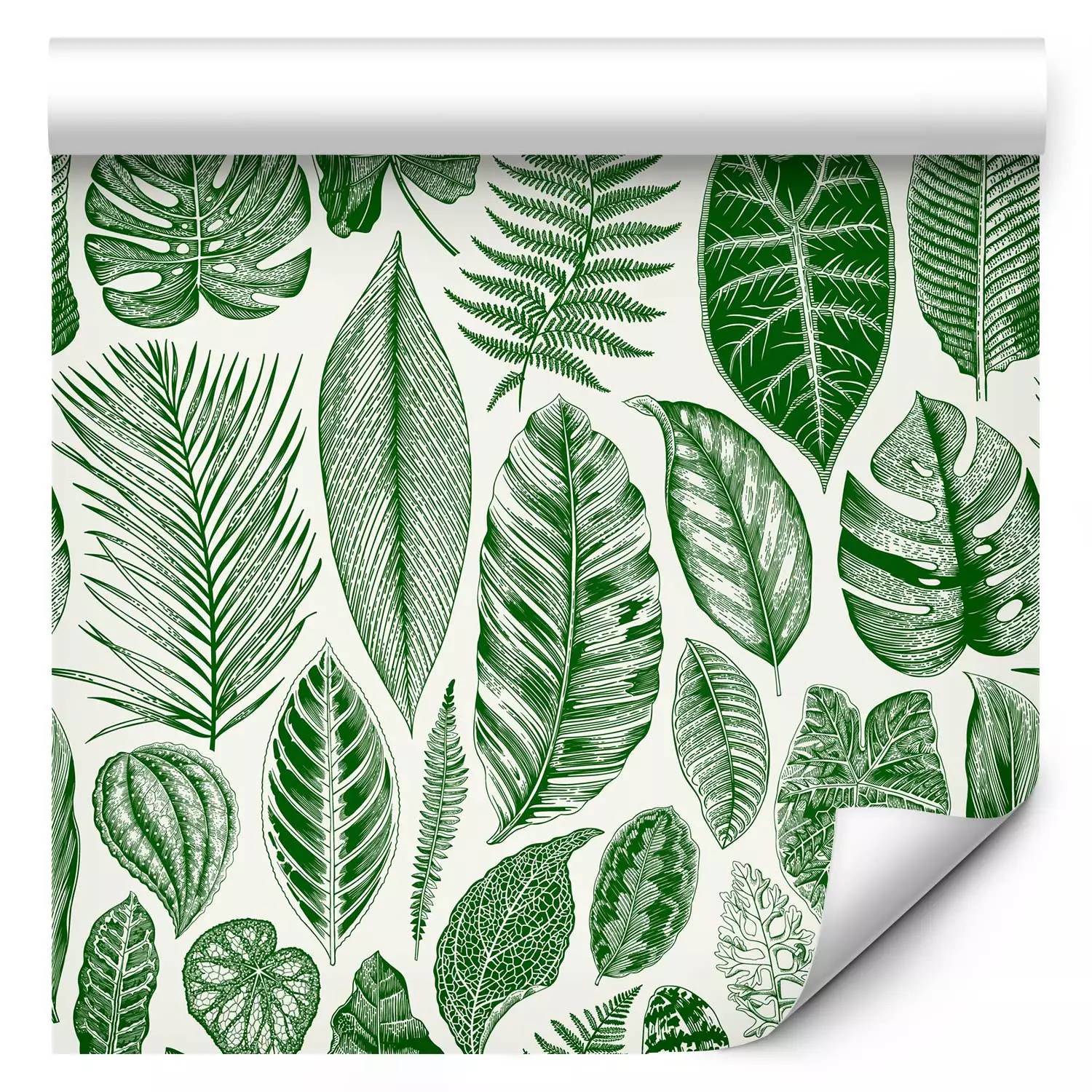 Modern Wallpaper Green Nature - Different Species and Sizes of Leaves on a White Background