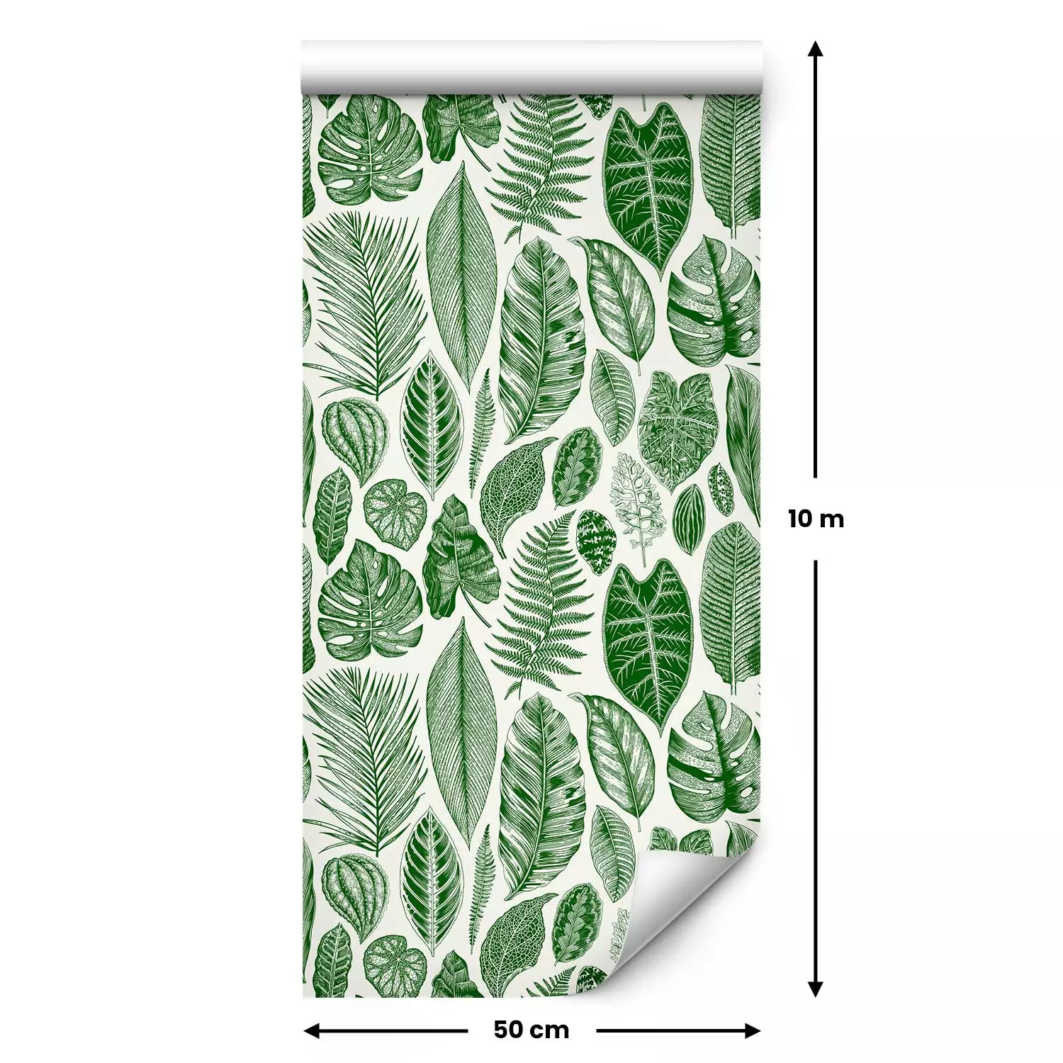 Modern Wallpaper Green Nature - Different Species and Sizes of Leaves on a White Background