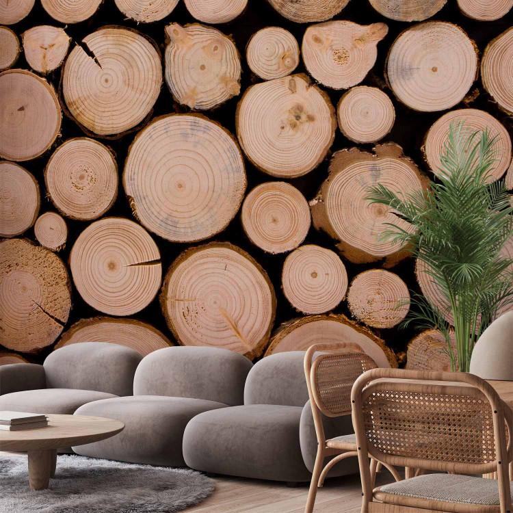 Rustic Wall Murals rustic wall mural rustic wall mural for wall