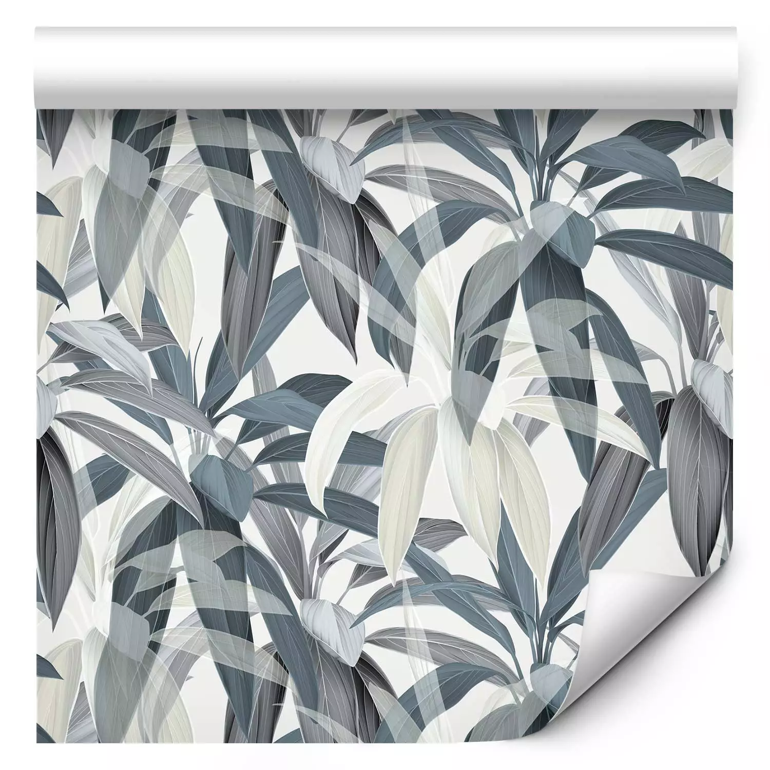 Modern Wallpaper Drawing of Nature - Blue-Gray Cordylina Leaves on a White Background