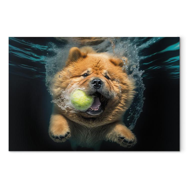 Canvas AI Dog Chow Chow - Floating Animal With a Ball in Its Mouth - Horizontal