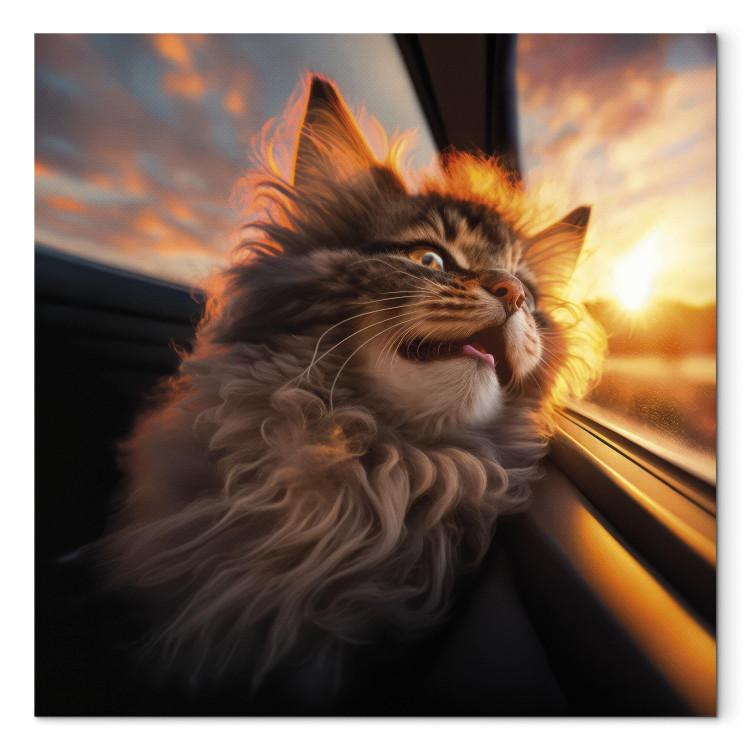 Canvas AI Maine Coon Cat - Animal on a Journey to the Setting Sun - Square