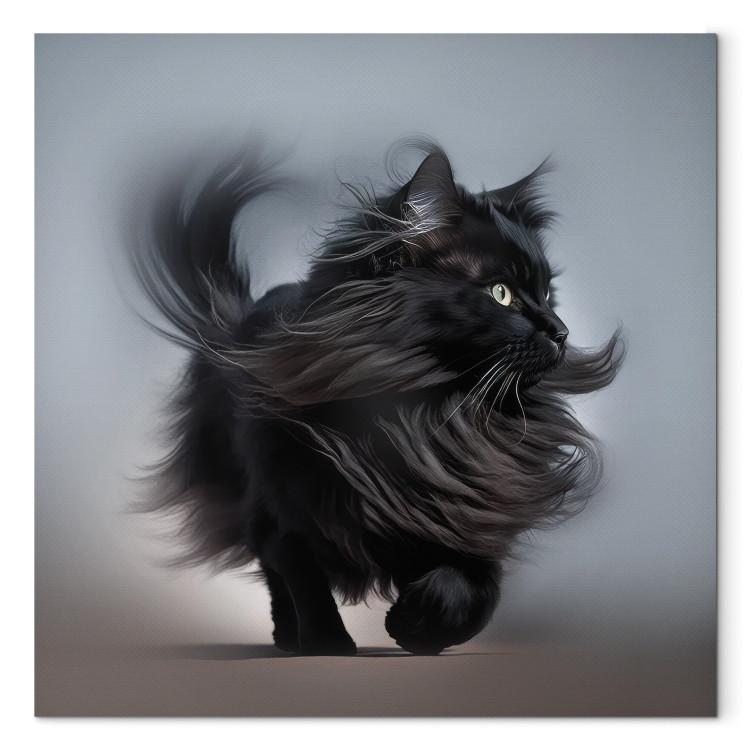 Canvas AI Maine Coon Cat - Walking Animal With Long Black Hair - Square