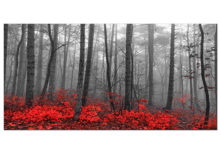 Large canvas print Crimson Forest II [Large Format]