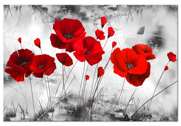 Large canvas print Red Poppy Bed [Large Format]
