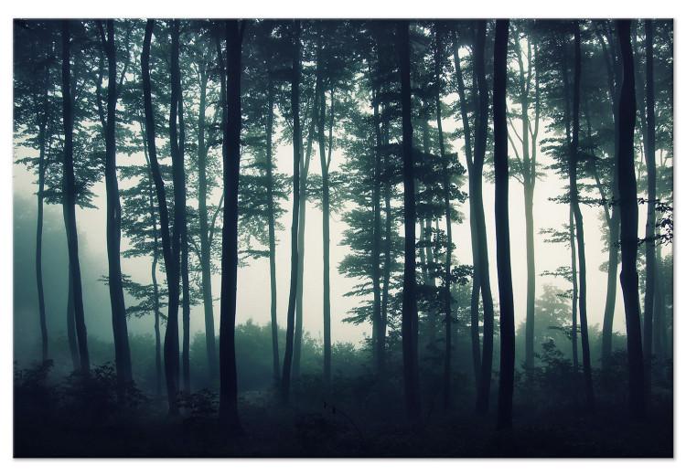 Large canvas print Forest in the Mist [Large Format]