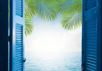 Wall Mural Ocean view - open wooden shutters overlooking palm trees Wallpaper Cropper