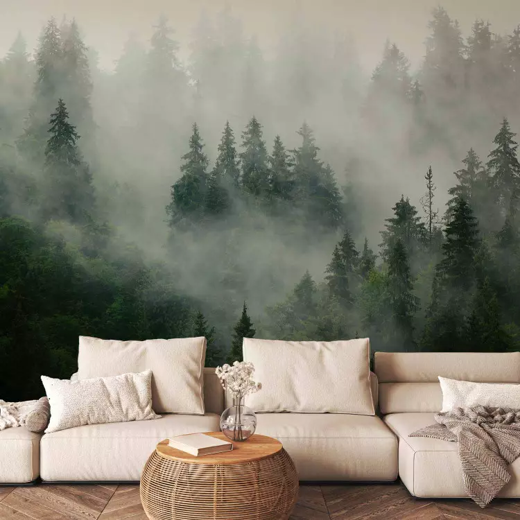 Coniferous Forest