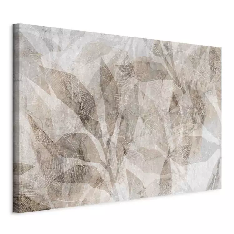 Shadow Abstraction - Interwoven Shapes and Beige Outline of Leaves