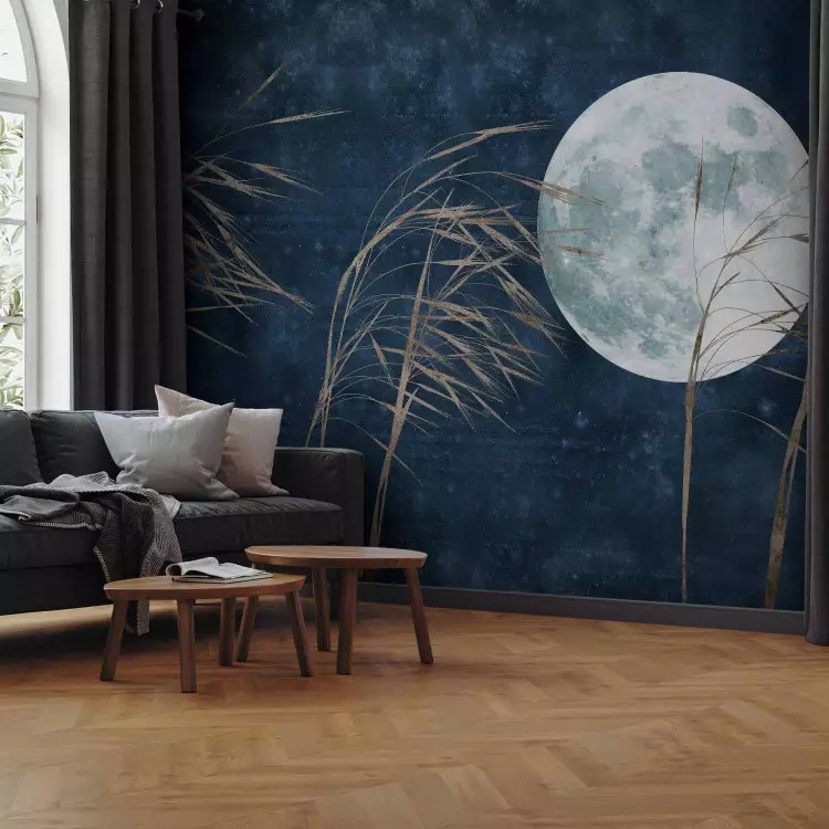 Full Moon - Tall Grasses Against a Dark Blue Night Sky