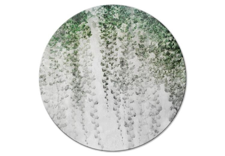Round Canvas Print An Oasis of Peace - Plant Composition With Ivy on the Wall