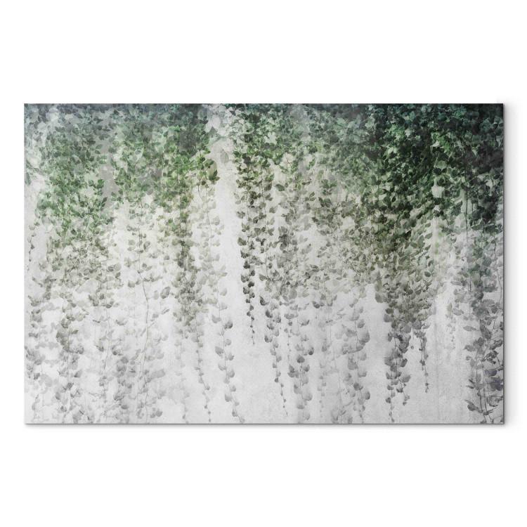 Large canvas print Oasis of Peace - Composition With Dark Ivy on the Background of the Wall [Large Format]