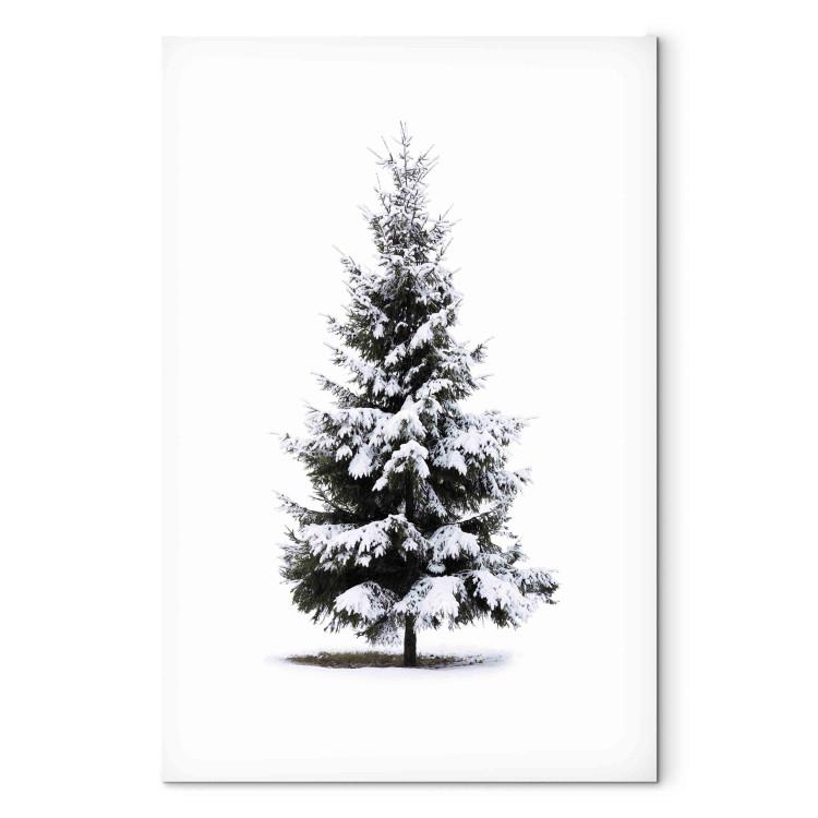 Canvas Winter Tree - Spruce Covered With Snow on a White Snowy Background