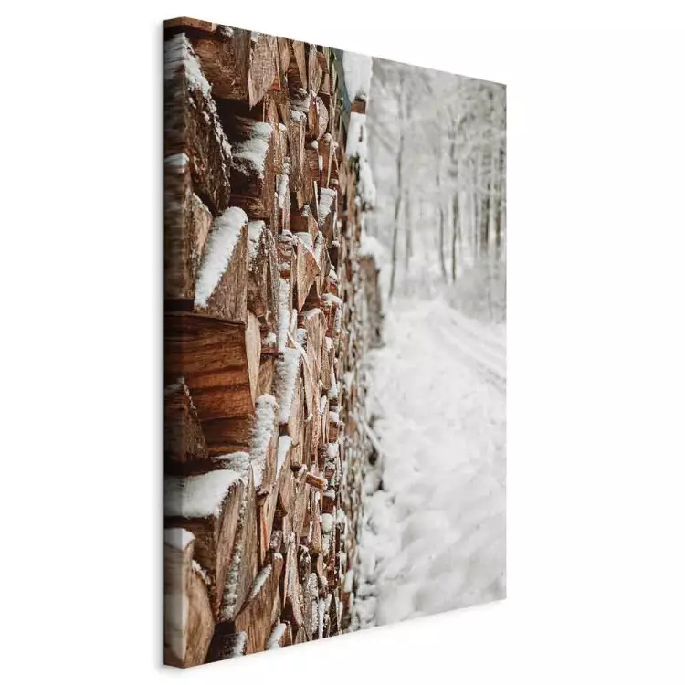 Winter Forest - Photo of a Pile of Wood on a Snowy Forest Road