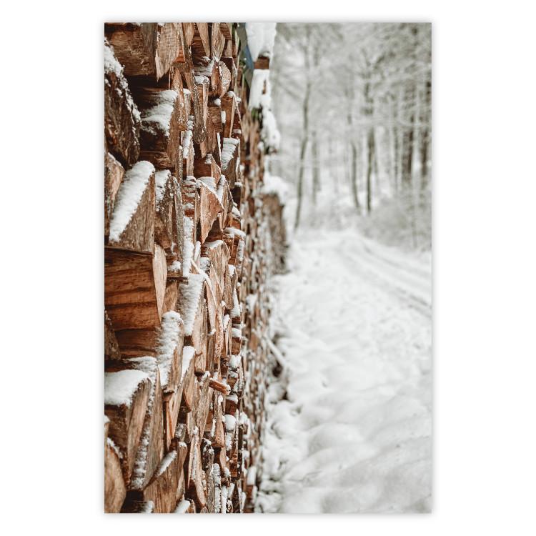 Poster Winter Forest - Photography of a Pile of Wood on a Snowy Forest Road