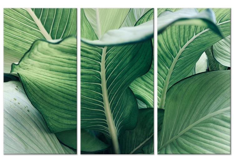 Canvas Close to Nature - Large Leaves in Juicy Shades of Green