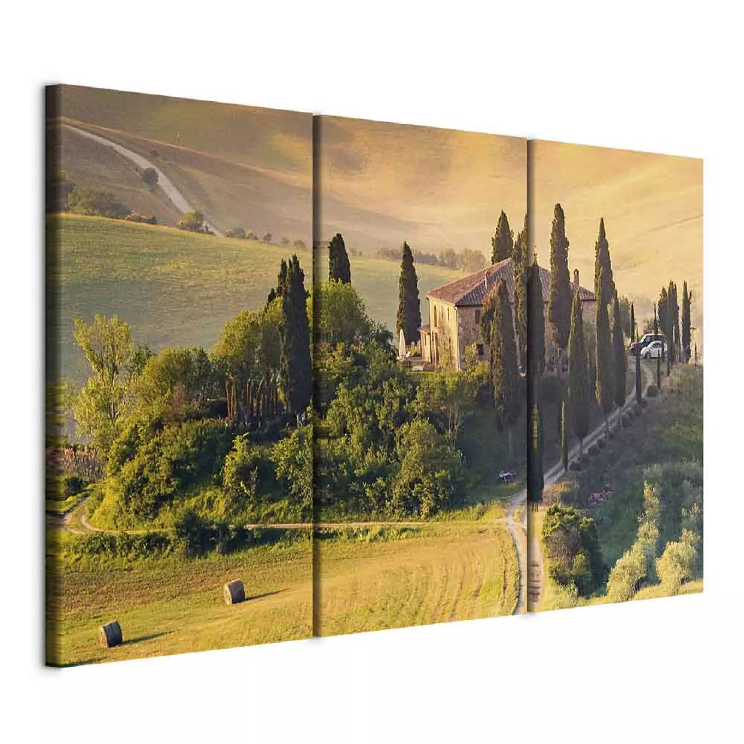 Art Work Charming Tuscany - Landscape With Fields Illuminated by Sunshine -  bimago, image size:1500x1500