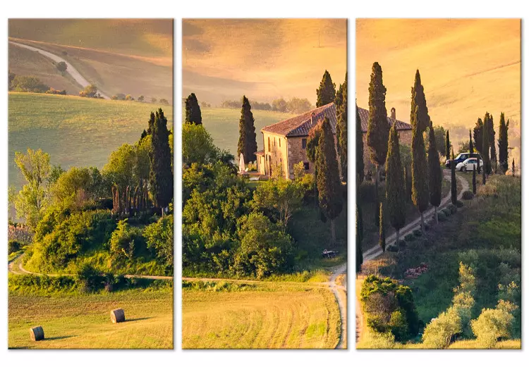 Canvas Charming Tuscany - Landscape With Fields Illuminated by Sunshine