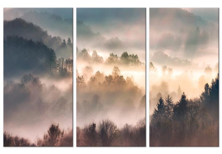 Canvas Forest in Mist - Mountainous Landscape With Trees at Sunrise