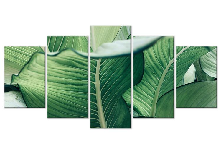 Canvas Luscious Nature - Large Leaves in Expressive Shades of Green