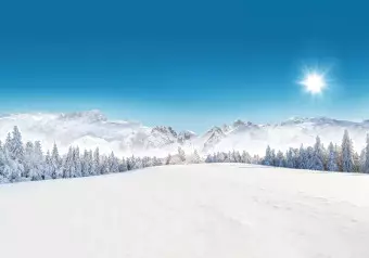 Wall Mural Winter Landscape - Mountain Peaks and Forests Covered With Snow Wallpaper Cropper