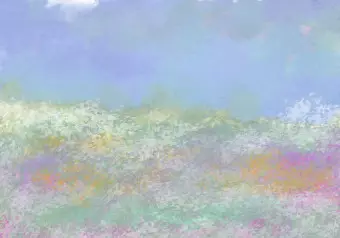 Wall Mural Meadow in the Summer Time - First Variant Wallpaper Cropper