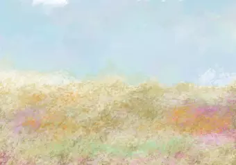 Photo Wallpaper Meadow in the Summer Time - Second Variant Wallpaper Cropper