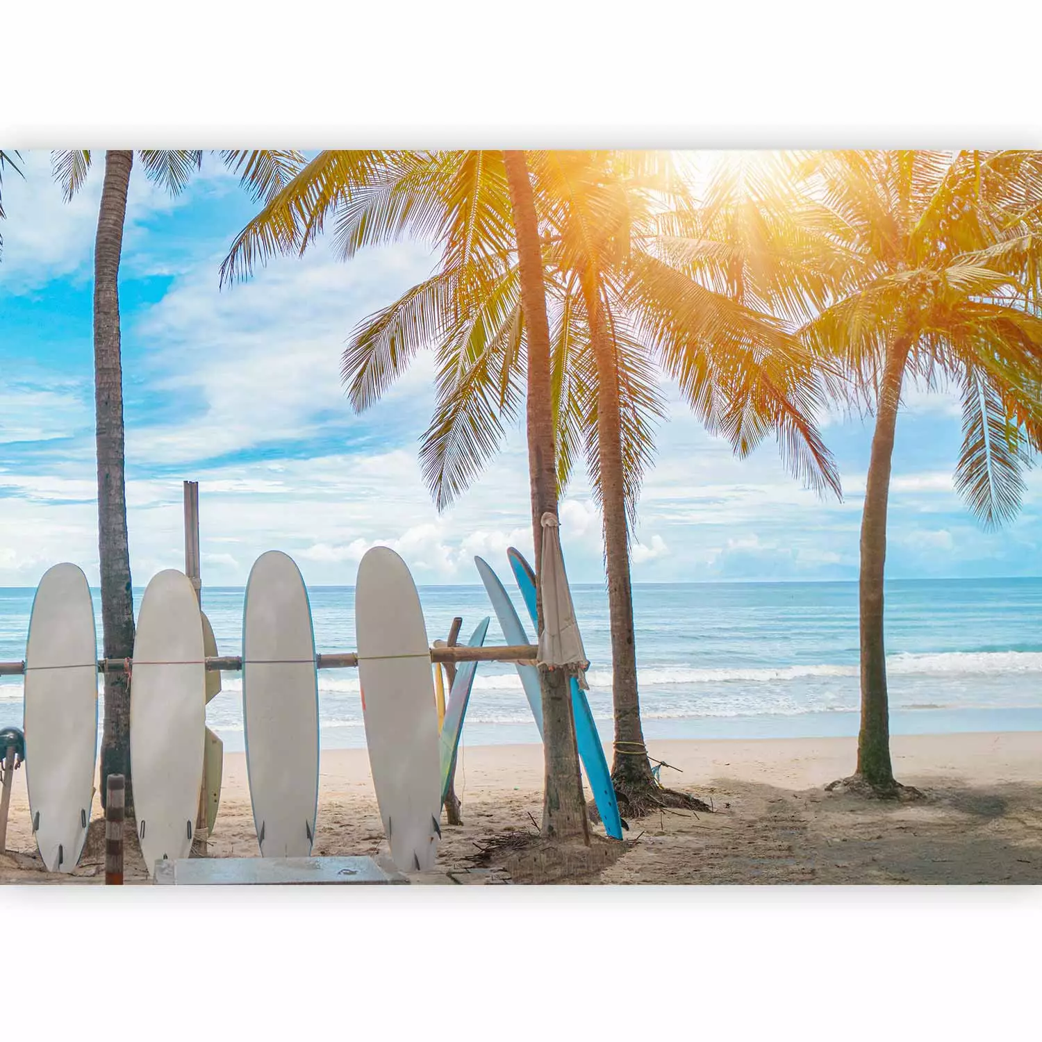 Photo Wallpaper Boards on Beach - Surfing Gear in Shade of Tropical Trees -  bimago