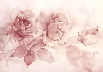 Photo Wallpaper Pink Watercolors - romantic compositions of roses in delicate tones Wallpaper Cropper