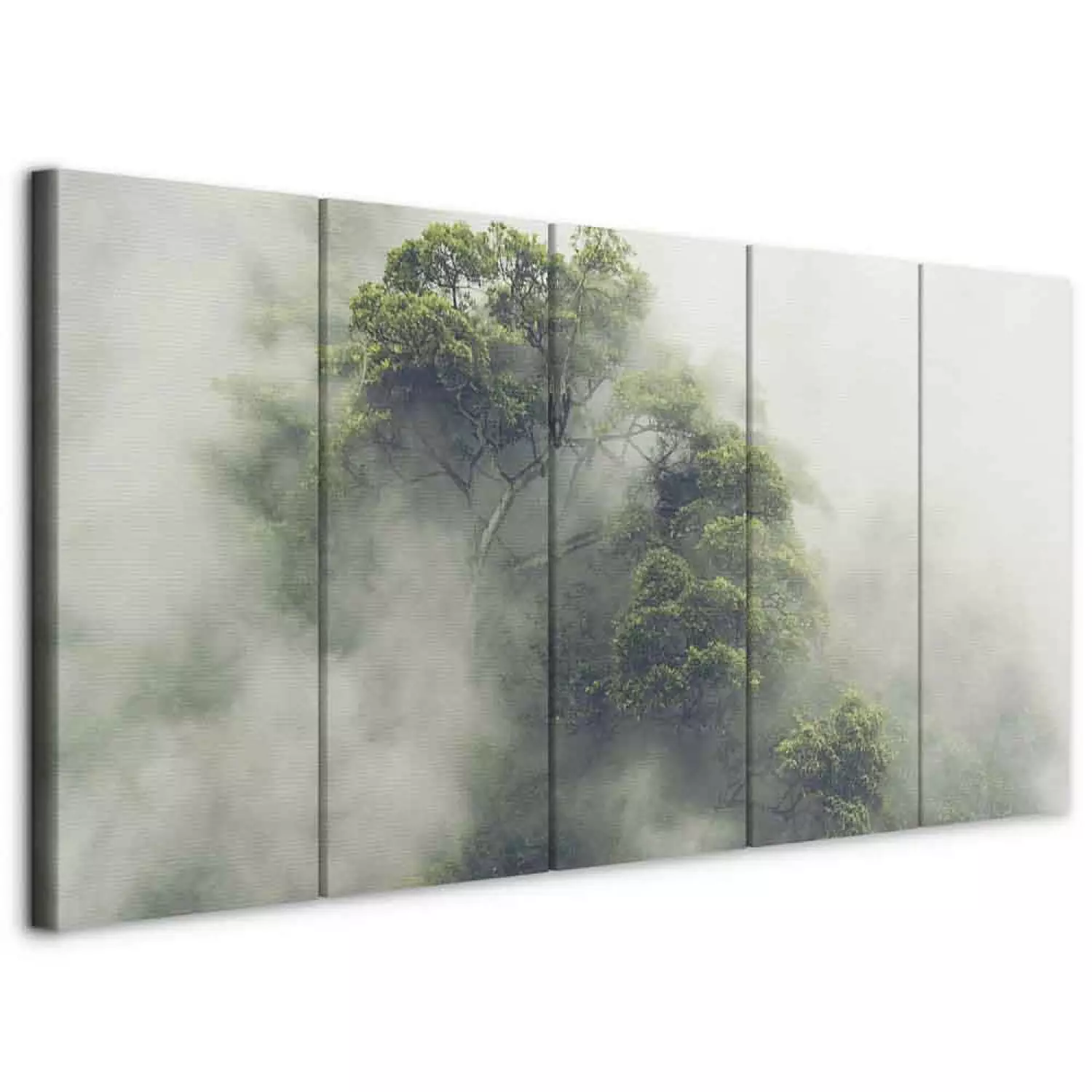 Canvas Art Print Foggy Amazon (5-piece) Narrow