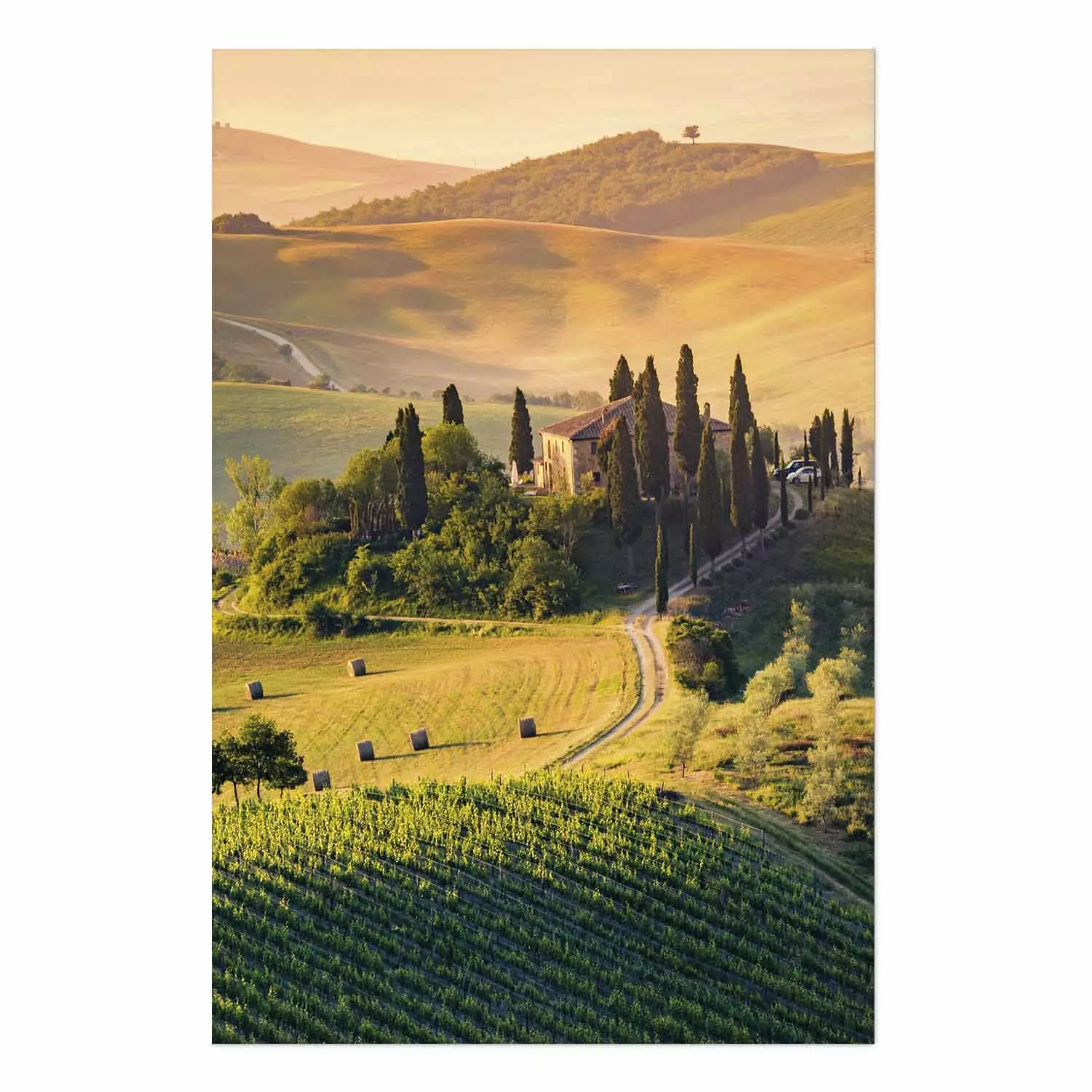 Poster Hills of Tuscany - romantic landscape with a villa amidst vineyards and trees