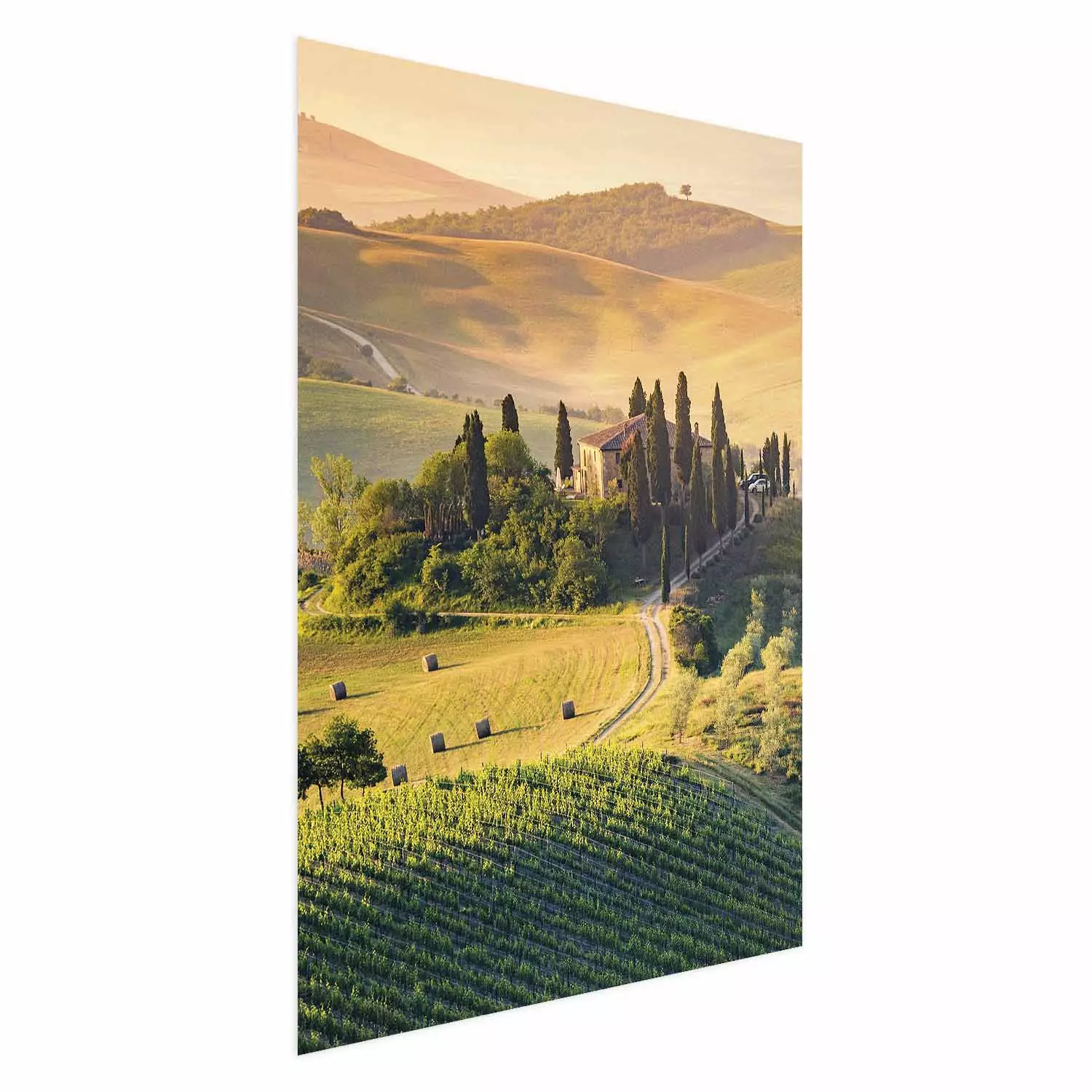 Poster Hills of Tuscany - romantic landscape with a villa amidst vineyards and trees