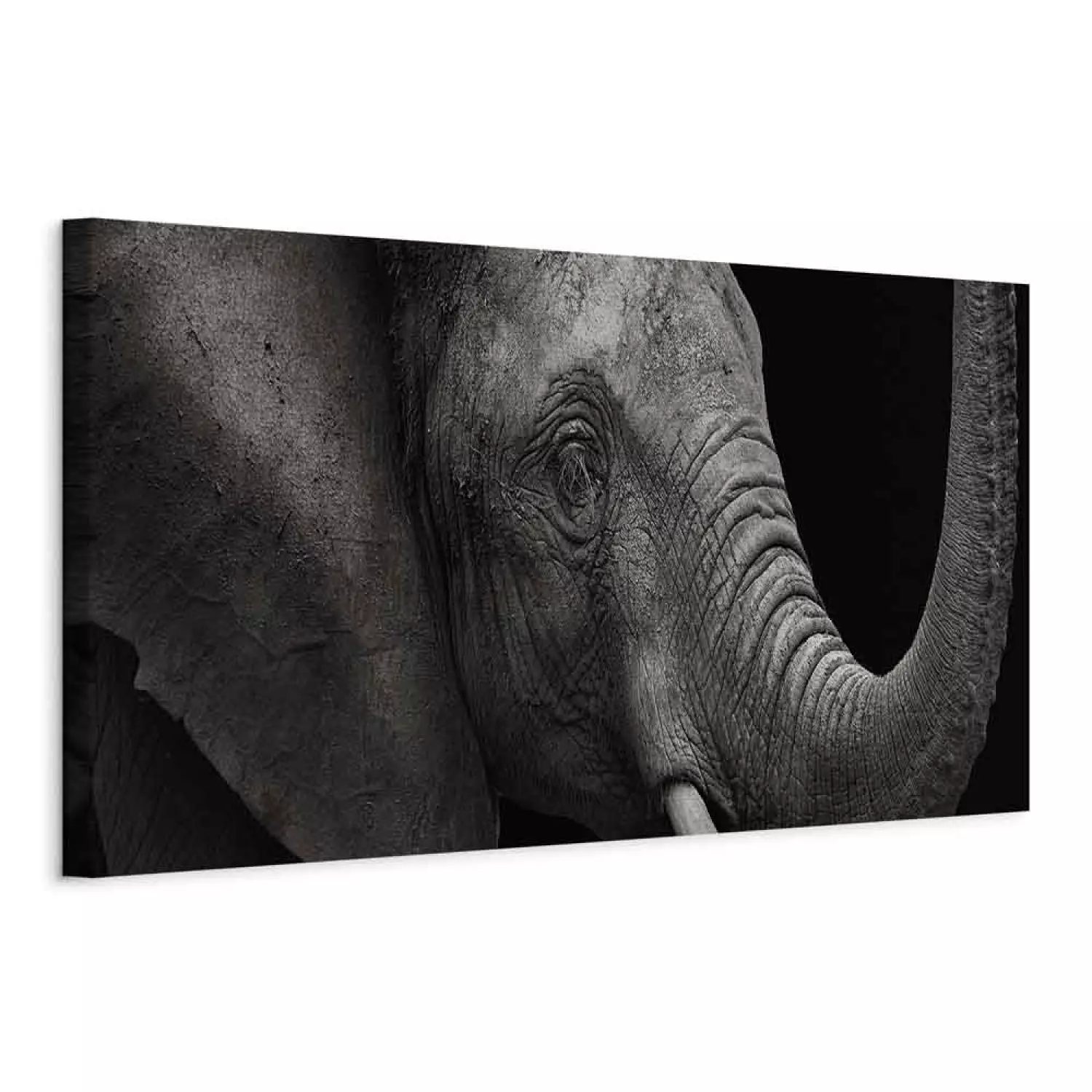 Canvas Art Print A stately elephant - a huge animal with large ears and a trunk
