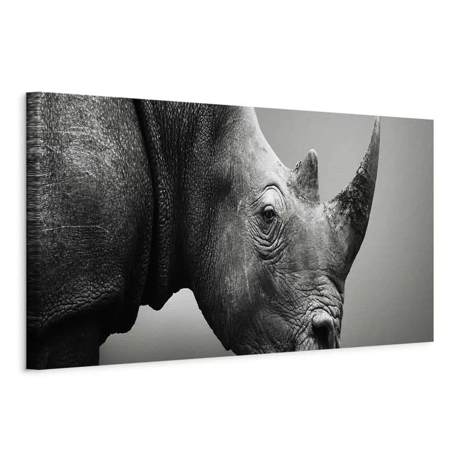 Canvas Art Print A stately rhinoceros - a black and white animal on a plain background