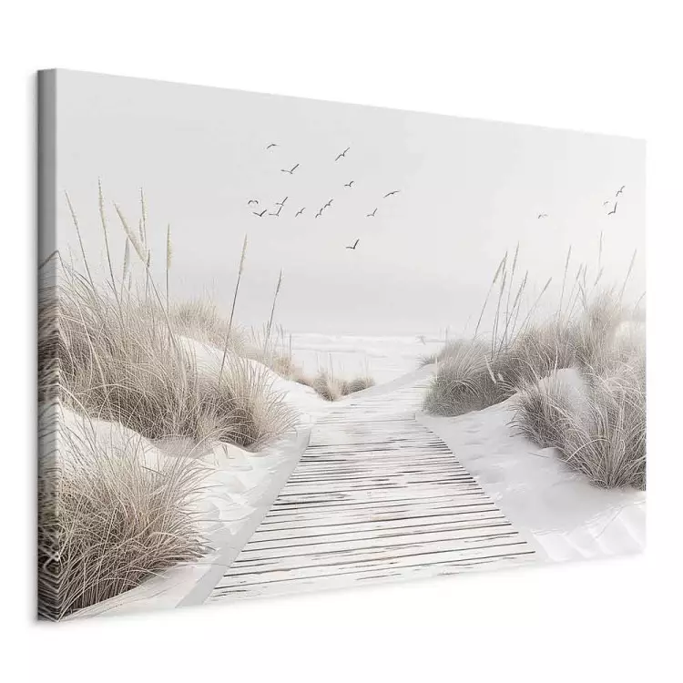 The beauty of nature - a wooden path through seaside dunes and grass