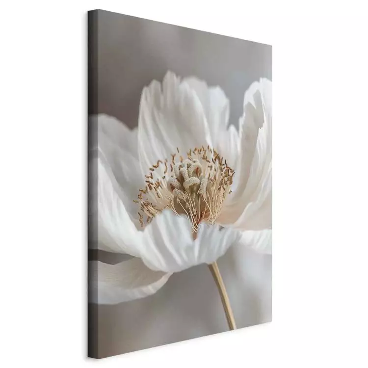 Subtle details of nature - The delicate beauty of a white flower in close-up