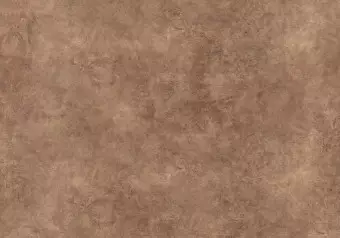 Wall Mural Terracotta and texture - limewash inspired by the natural shade of clay Wallpaper Cropper