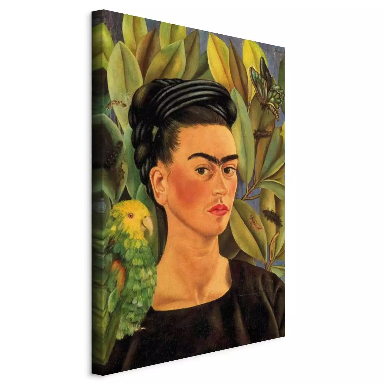 フランシス・ベーコン PORTRAITS AND SELF-PORTRAITS