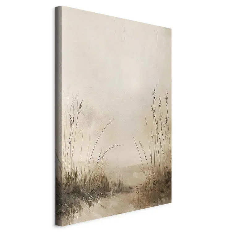 Misty Path - sandy trail between grasses near the seashore