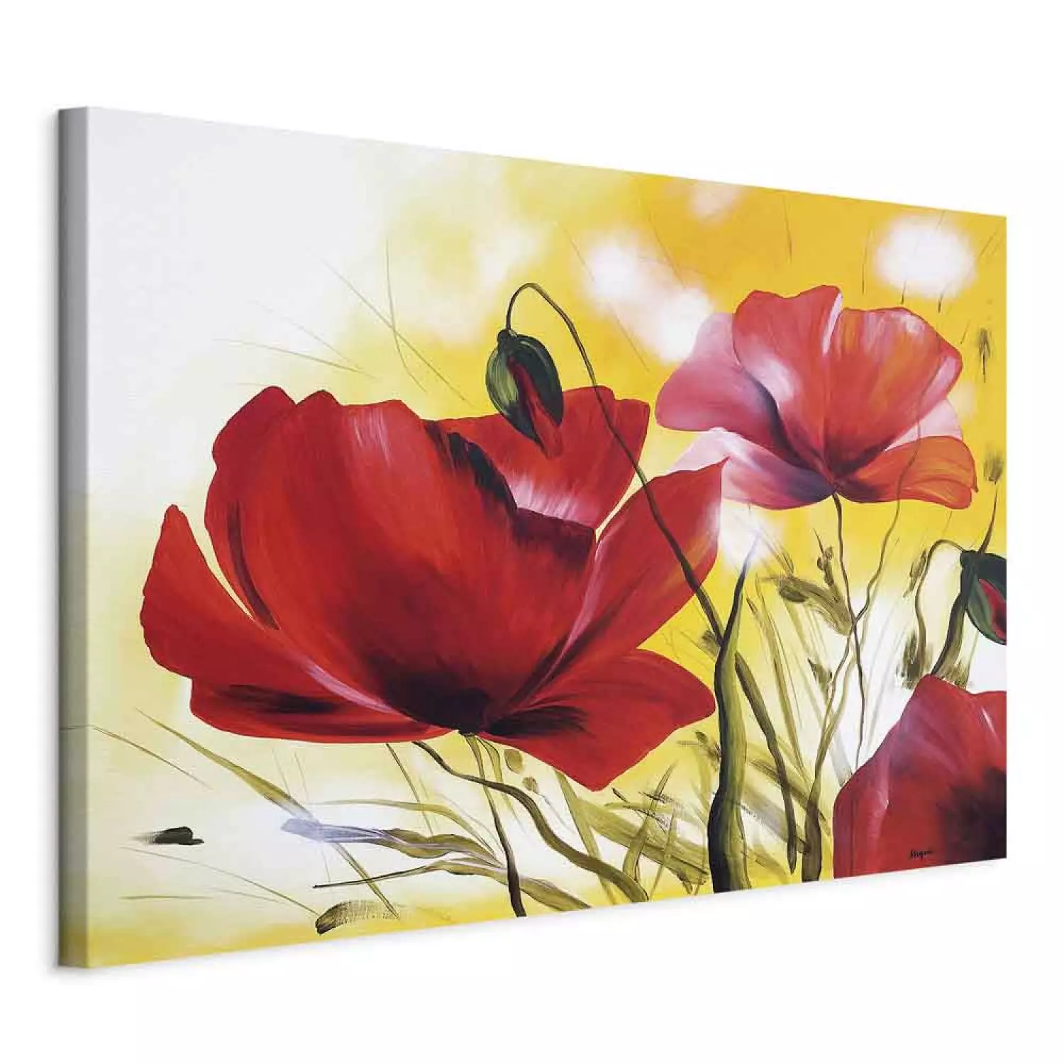 Canvas Beautiful Poppies - Meadow of red flowers on a sunny background