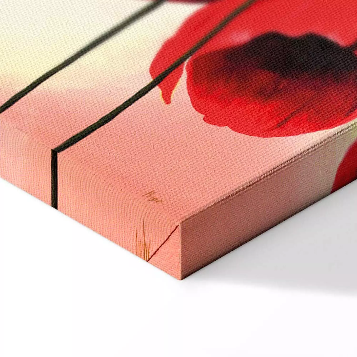 Canvas Print Red Flowers (3-piece) - Composition of tulips on a pastel background