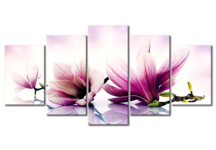 Canvas Pink flowers: magnolias