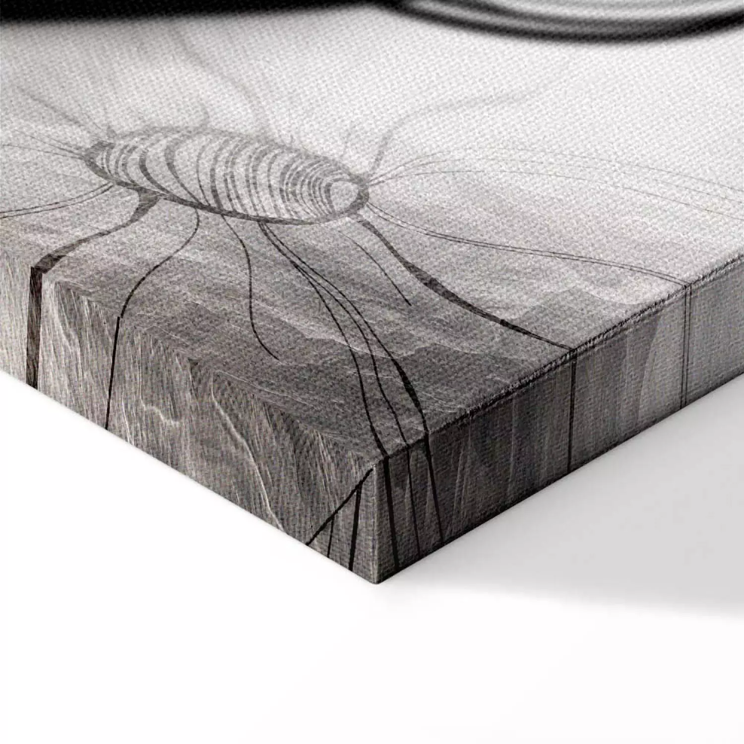 Canvas On the wind