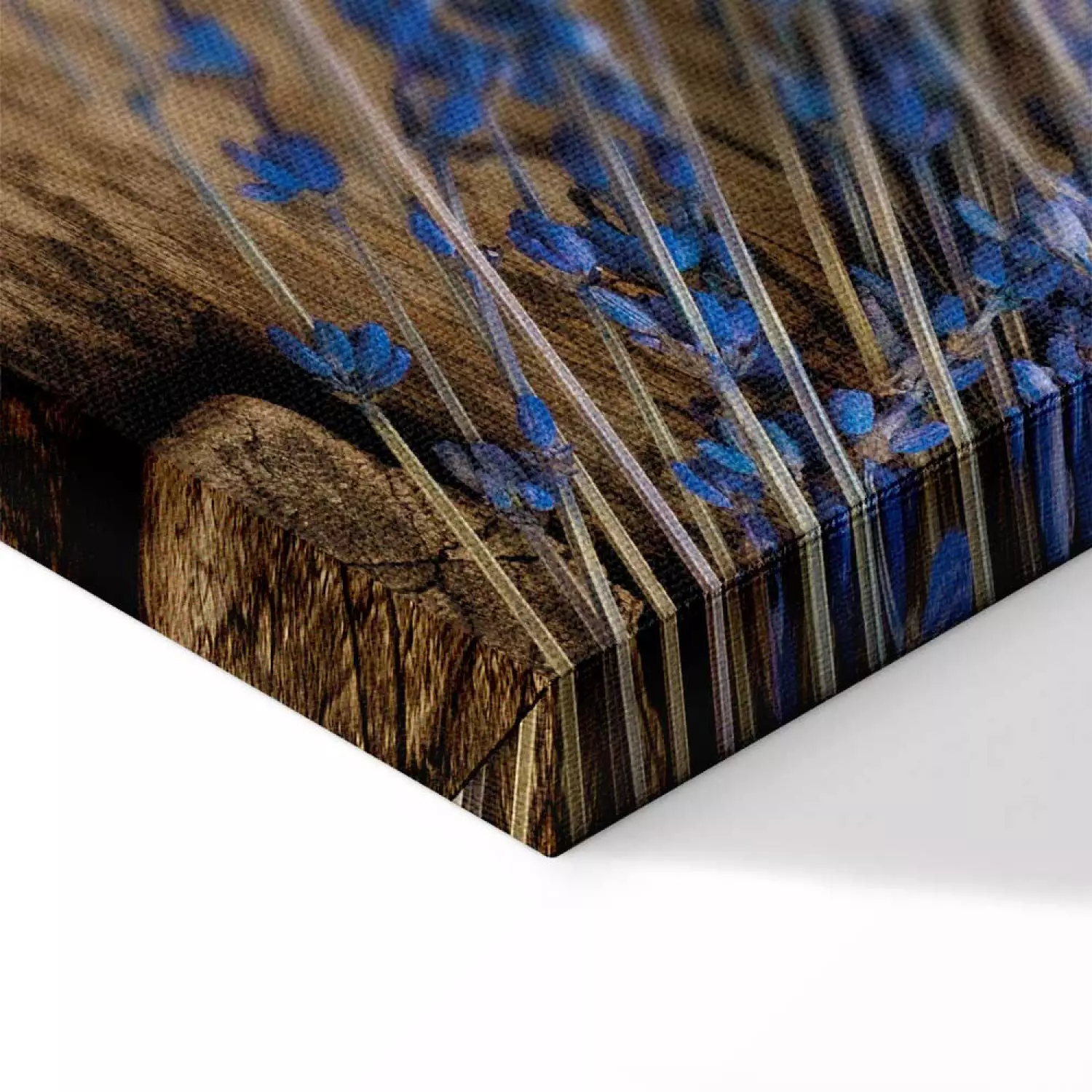 Canvas Art Print Lavander