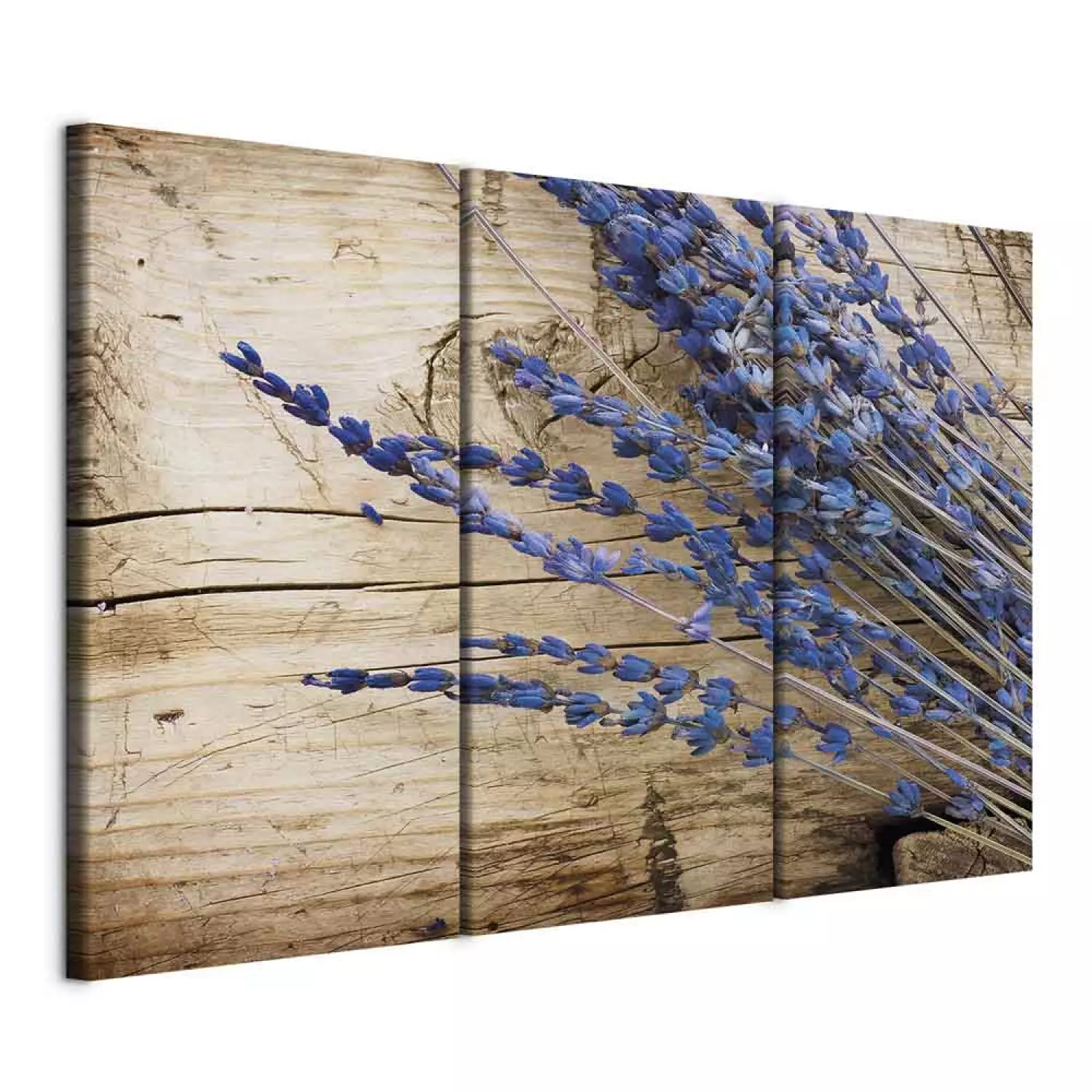 Canvas Art Print Lavander