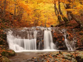 Photo Wallpaper Autumn landscape : waterfall in forest Wallpaper Cropper