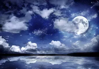 Wall Mural Magic night Wallpaper Cropper