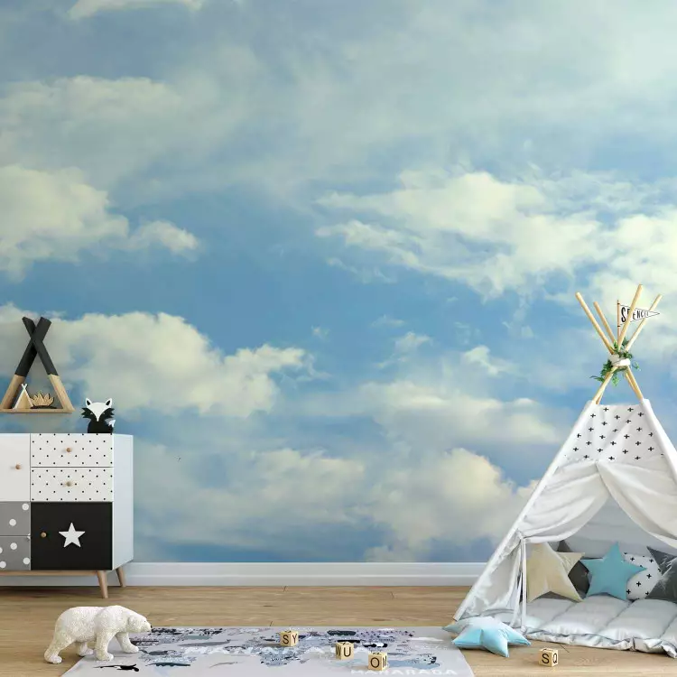 Head in the Clouds - Landscape of Blue Sky with White Clouds