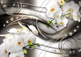 Wall Mural Abstract About Flowers - White Orchids on a Silver Composition Background Wallpaper Cropper